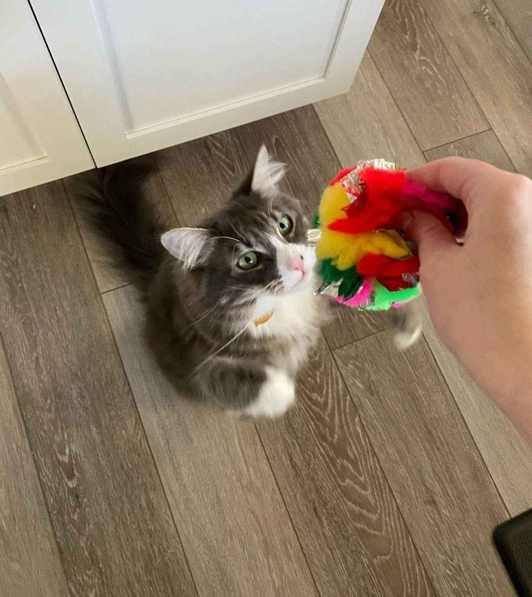 Jumbo Crinkle Ball 4 per bag