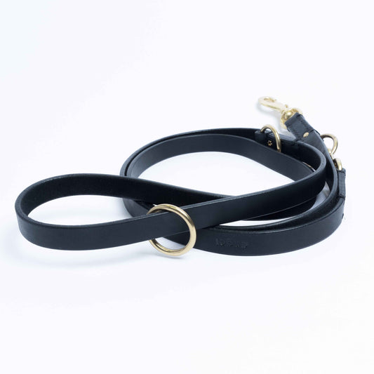 Multi-function Leash