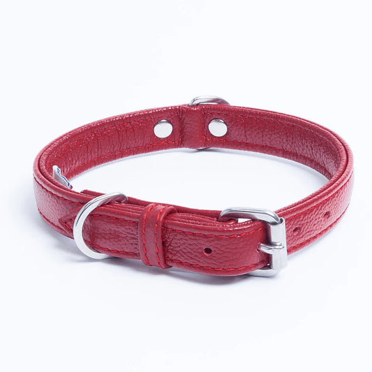 Red leather dog collar with metal buckle and D-ring