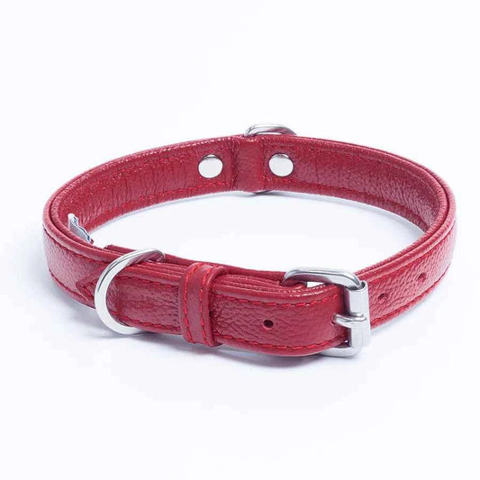 Alpine Dog Collars