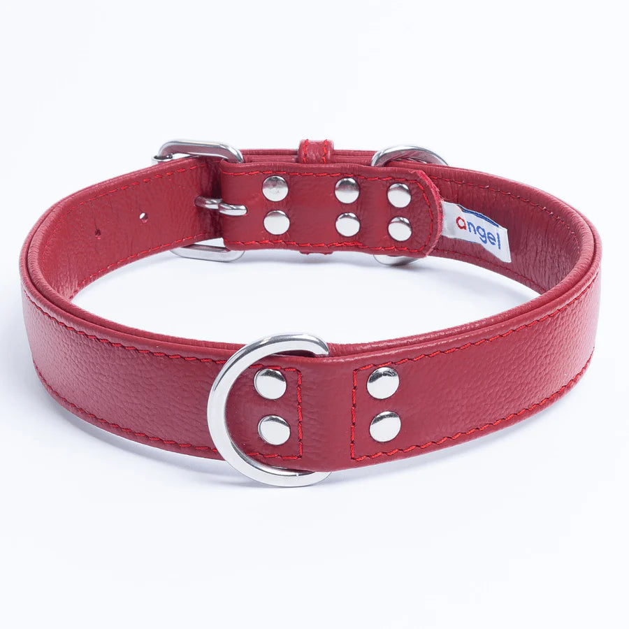 Red leather dog collar with silver buckle and rivets