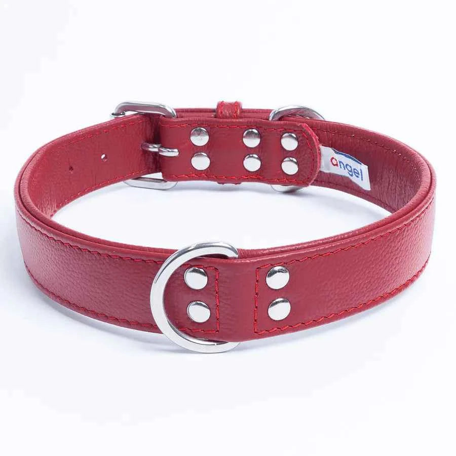Alpine Dog Collars
