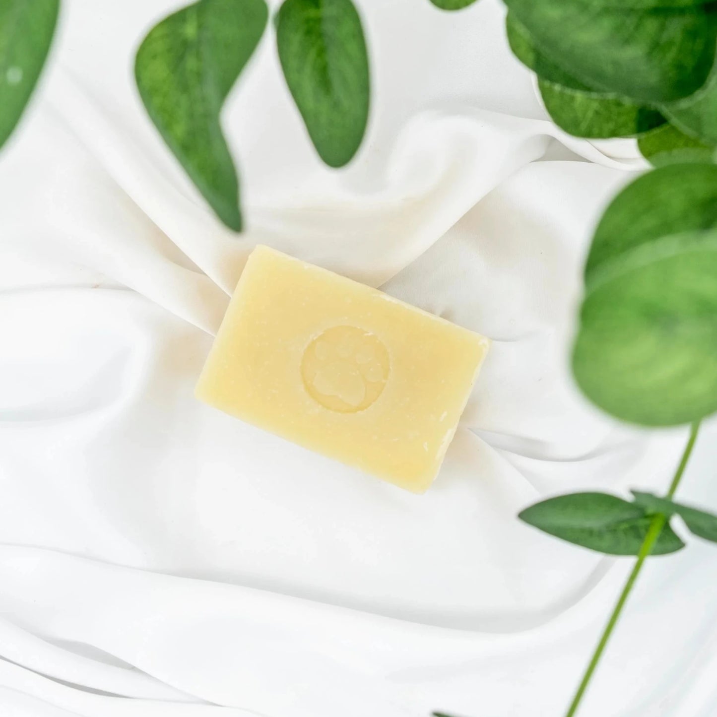 A bar of solid soap for dogs