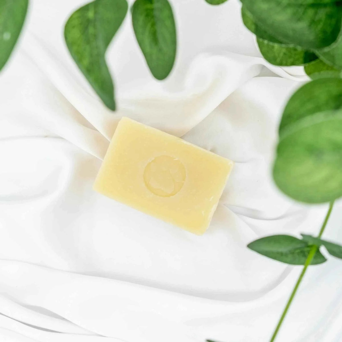 Dog Shampoo Bar - Scented