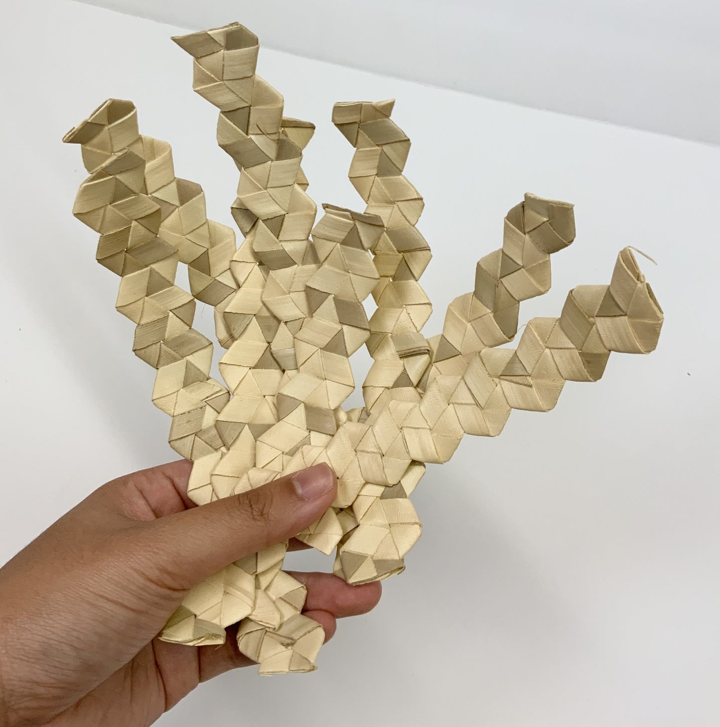 Hand holding intricately woven geometric palm leaf