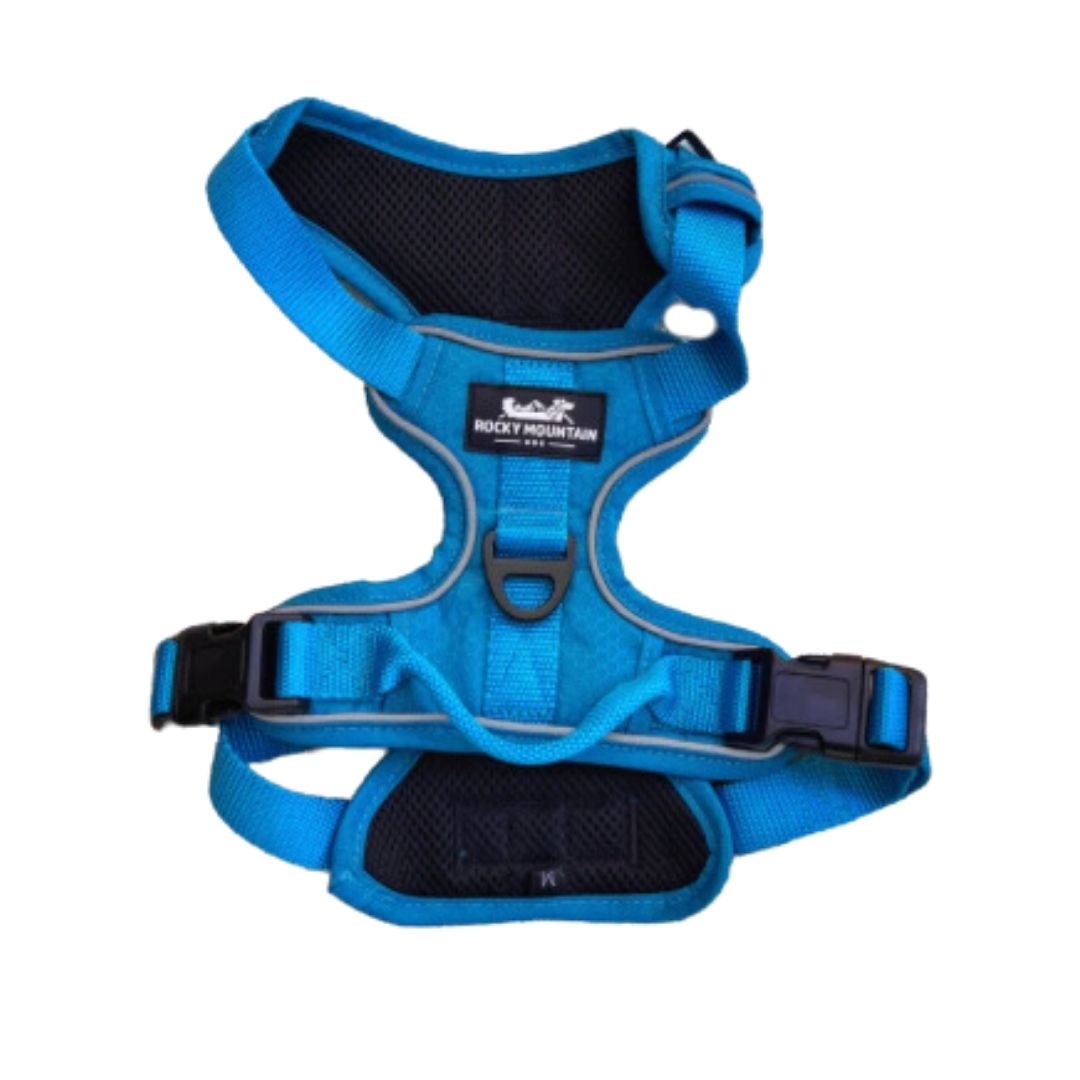 Blue pet harness with adjustable straps