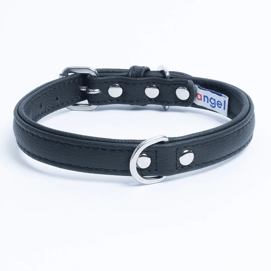 Black leather dog collar with metal buckle and studs