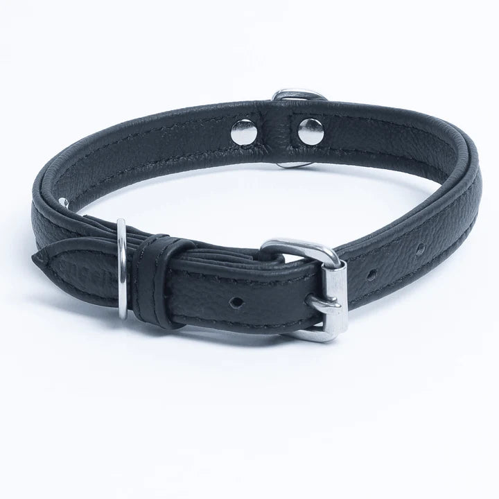 Black leather dog collar with metal buckle
