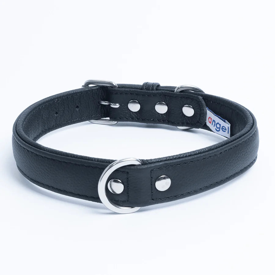 Black leather dog collar with metal buckle and rivets