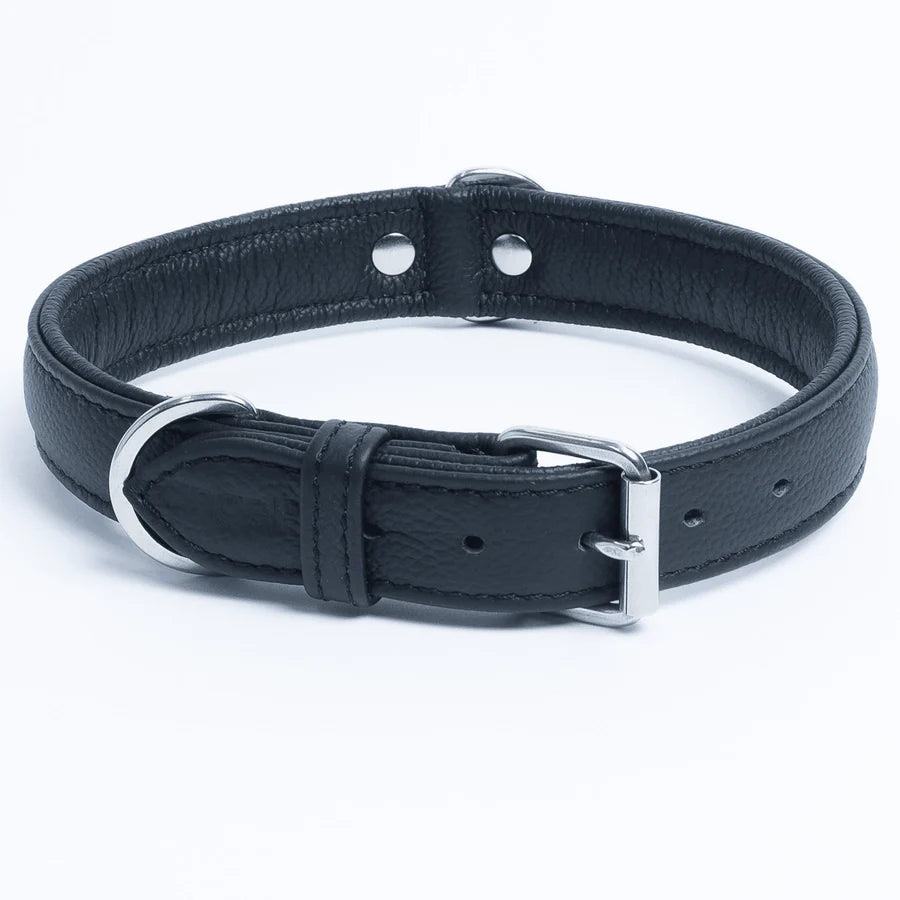 Black leather collar with buckle and metal ring