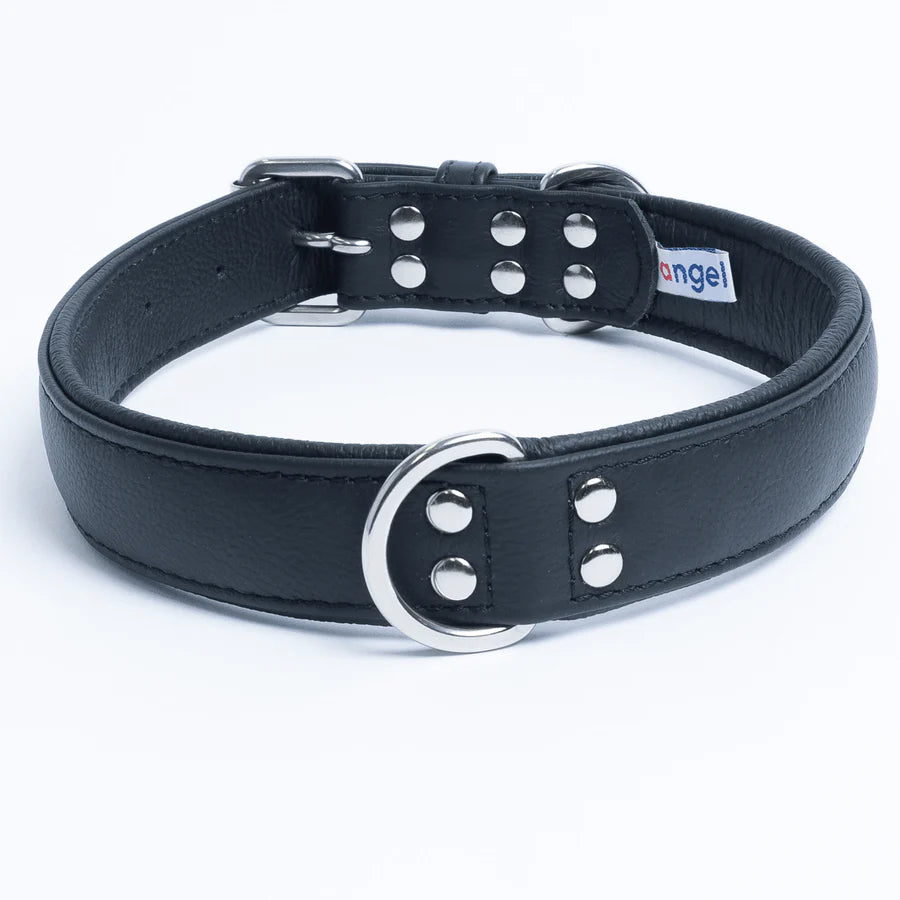 Black leather dog collar with metal buckle and rivets