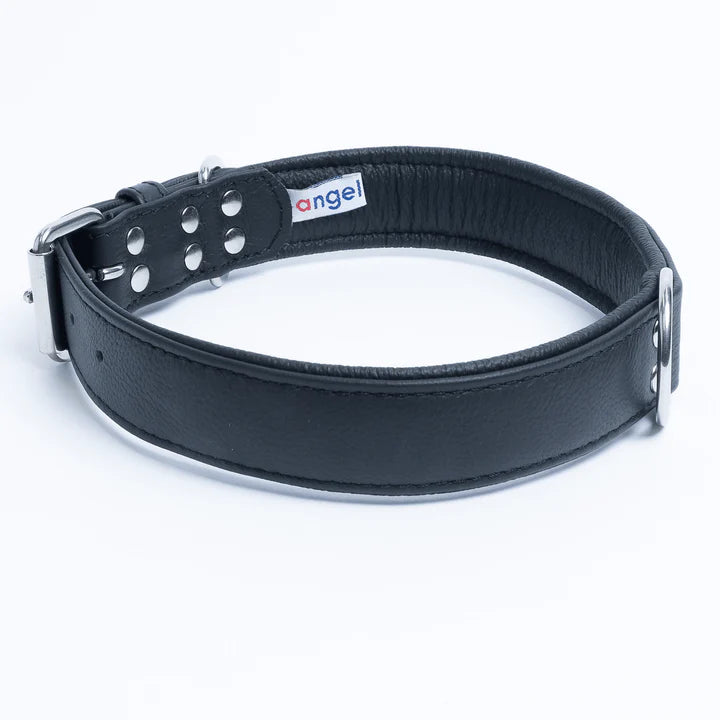 Black leather dog collar with metal buckles
