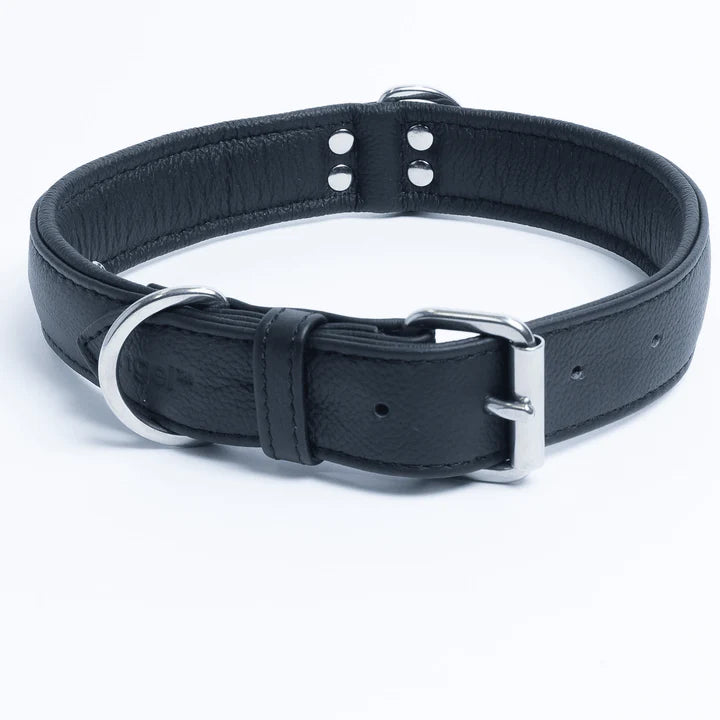 Black leather collar with metal buckle and D-ring