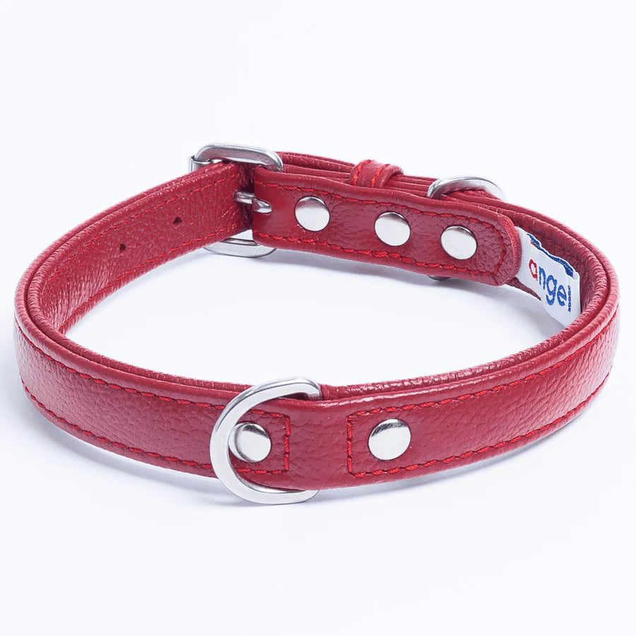Red leather dog collar with silver hardware
