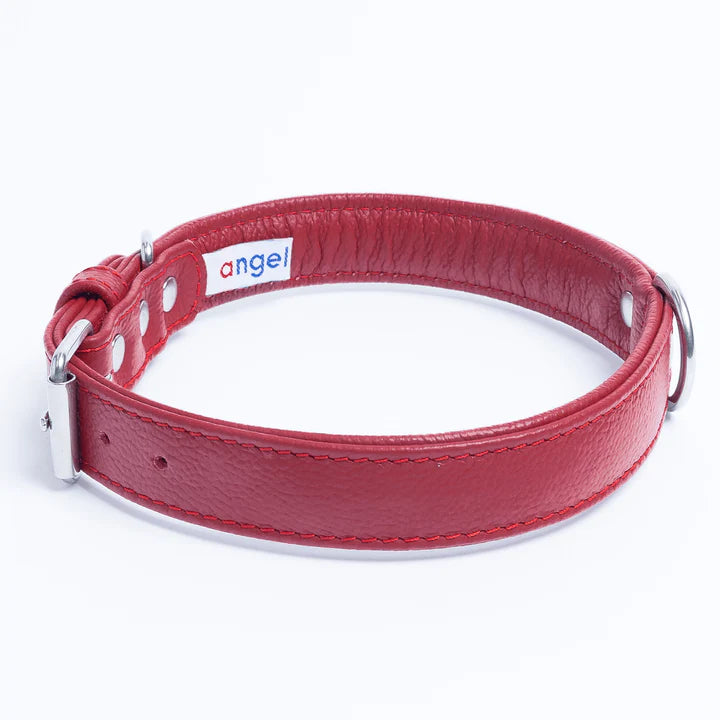 Red leather dog collar with silver buckle.