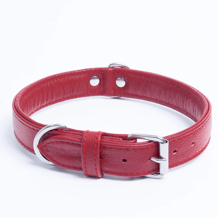 Red leather collar with metal buckle and D-ring