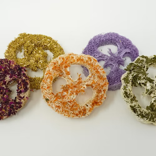 Pack de 3 variétés de luffa aux trois saveurs