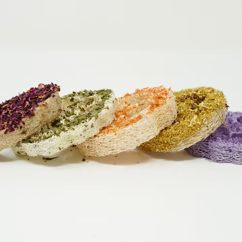 Pack de 3 variétés de luffa aux trois saveurs